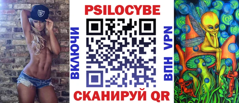 Псилоцибиновые грибы MAGIC MUSHROOMS  купить закладку  Опочка 